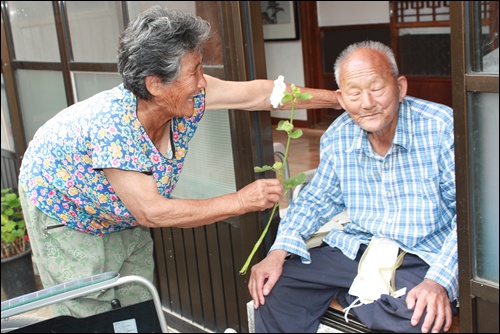 접시꽃 당신 20여년간 남편의 병수발에 이골이 난 할머니가 마당에 활짝핀 접시꽃을 할아버지에게 선물하며 "부부란 정으로 사는 거여"라고 말하고 있다.