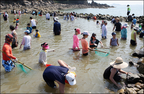 별주부전의 전설이 전해내려오는 청포대 해수욕장에서는 오는 31일부터 내달 2일까지 어살문화축제가 열린다.
