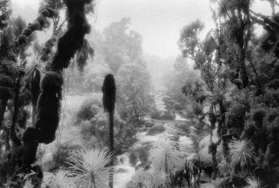  Bujuku River #1, 2005, silver gelatin print, mounted on aluminium, framed with mirogard magic glass, 101 x151cm