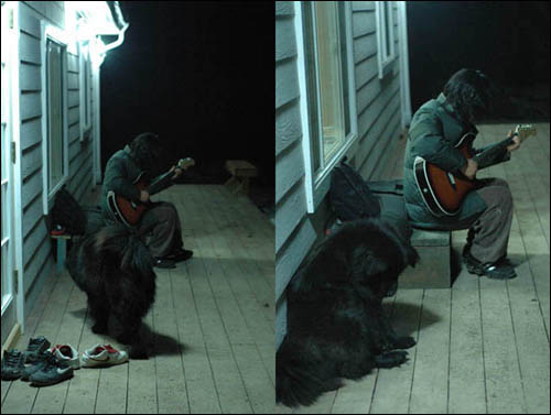 기타 연주를 하는 유신씨 곁으로 다가와 앉아 있는 곰순이.