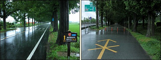 메타세쿼이아 가로수길 가는 길. 왼쪽) 안내판이 서 있는 도로. 오른쪽) 도로 옆 가로수길 입구. 자동차 진입 금지 표시. 