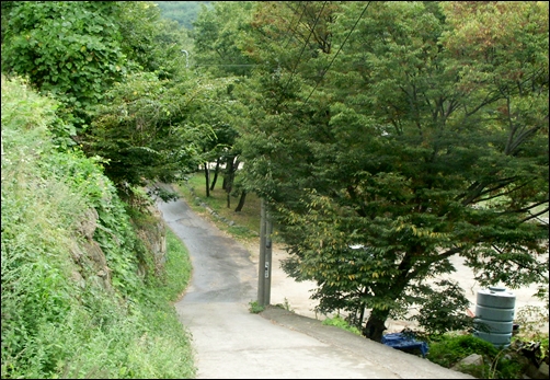  비가 조금만 내려도 넘쳤던 중촌리 목곡마을 입구. 자갈길에 시멘트로 범벅을 해놓아서 삭막하게 느껴집니다. 작년 9월에 갔었는데 물소리가 끊이지 않았던 오른쪽 작은 계곡도 사라졌더군요. 
