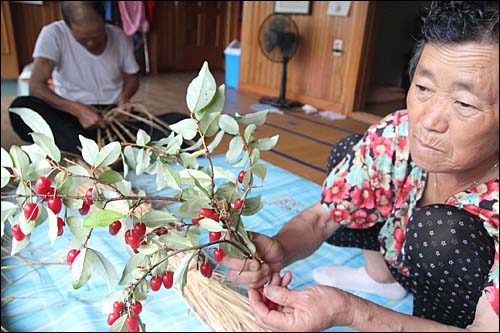박용근 할아버지가 열심히 짚신을 삼는동안 양남수 할머니께서는 앞마당에 열린 보리수 열매를 따다 할아버지께 한 웅큼 입에 넣어드렸다.