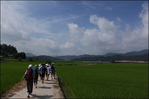 불볕더위가 기승을 부리는 한 여름에 무거운 배낭을 하나씩 짊어지고 낙동강 순례길을 걷고 있는 '잉여 순례단'의 모습. 이들은 하루 평균 20킬를 걸었다고 한다.