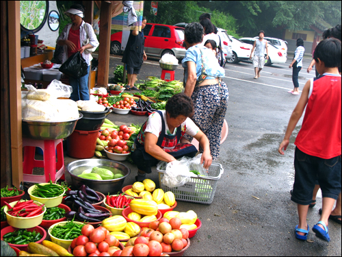 싱싱농산물을 생산자 소비자 직거래 하고 있는 농산물시장