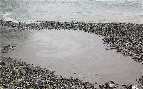 유조선-어선 충돌 사고로 흘러온 기름띠가 거제 해안에서 보인다.
