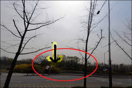 붉은 원 안에 노란색 진달래 화살표 부근에 올림픽공원과 연결된 복개천이 있다. 그곳을 지날 때마다 악취가 진동을 한다. 
