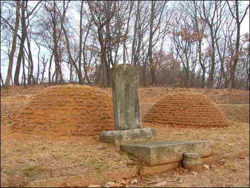 석철과 석린은 이듬해(1648년)제주도에서 의문의 죽음을 당했다. 소현세자 국상에 조문단을 이끌고 조선을 방문한 청나라의 실력자 용골대가 석철을 청국으로 데려다 기르겠다고 말했기 때문에 사람들이 모두들 그가 반드시 보전될 수 없을 것이라고 여겼는데 불길한 예감이 적중한 것이다. 한양으로 운구 된 석철은 아버지 소현세자를 마주보는 언덕에 잠들어 있다.
