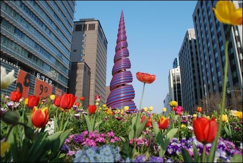 서울시가 청계 광장 다슬기 위령탑 앞에 헌화?하고자 꽃을 심어놓았습니다.