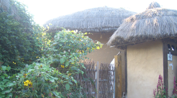 하회마을은 사대부들이 사용한 기와집과 서민들이 사용한  초가집이 어우러져 있다.