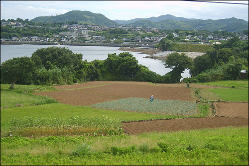 여느 시골 마을의 풍경처럼 평온해 보이는 미나마타. 바다와 산을 끼고 어촌과 농촌이 형성돼, 지금은 반농반어로 생활하는 주민이 많다. 