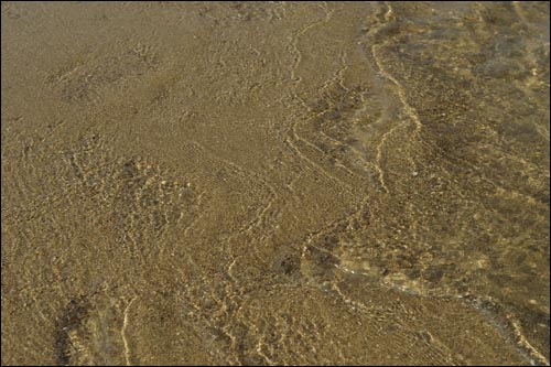 모래강은 자연여과장치