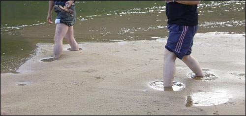 물 반 모래 반의 떠있는 모래층