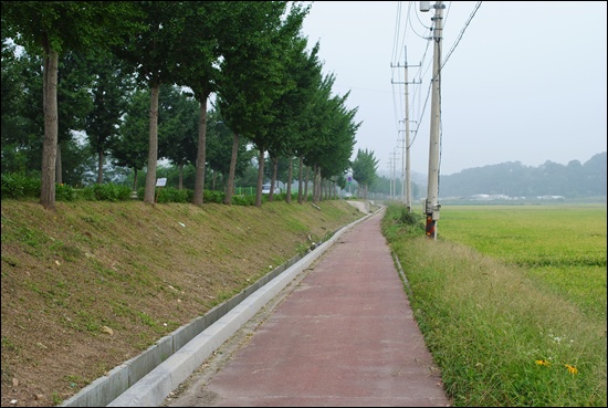  강화도 해안 자전거도로