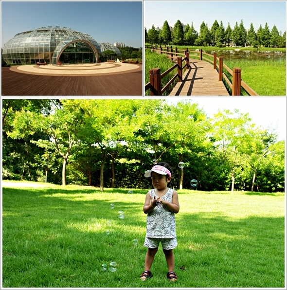  위-물방울온실과 습지생태원, 아래-잔디마당의 귀염둥이 ‘오나윤’