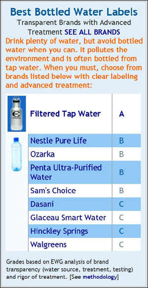 EWG 홈페이지의 'Best Bottled Water Labels' 결과 중 일부. 이 외에도 생수에서 검출된 물질의 종류와 위해성, 안전한 물을 먹기 위해 우리가 해야 할 일 등에 대한 연구 결과가 정리되어 있다. (http://www.ewg.org/health/report/bottledwater-scorecard)