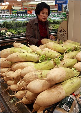 최근 배추를 비롯한 주요 채소값이 폭등하고 있는 가운데 30일 오후 서울 한 대형마트에서 장을 보러온 한 시민이 배추의 가격과 품질를 살펴보고 있다.