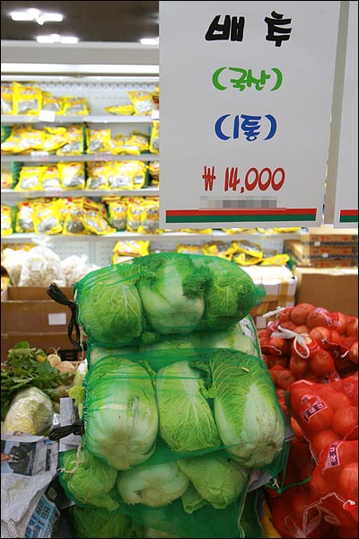 배추 가격이 폭등한 가운데 9월 30일 오후 서울 마포구의 한 대형마트에서 배추 1포기가 1만4000원(3개 들이 한 망에 4만2000원)에 판매되고 있다.