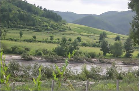 강물도, 주변의 흙도 잿빛인 두만강. 이상하게 강 건너 북한의 밭에서 익어가는 곡식들이 풍성하게 느껴지지 않았습니다. 
