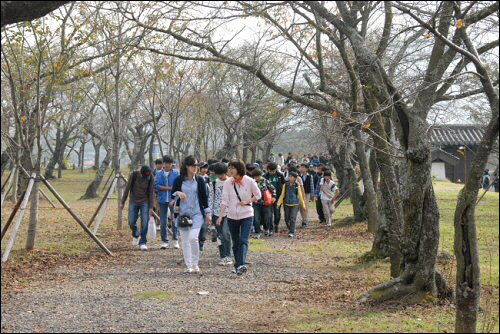 벚나무 숲길을 걸어서 선생님과 함께 소풍 장소로 걸어가는 아이들