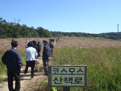 덕평 자연휴게소 - 도로공사가 운영하는 휴게소가 도심을 벗어나서 자연을 즐기려고 욕망하는 관광객들에게 볼거리와 쉼터역할을 동시에 하는 꽃길과 자연휴양림을 조성해놓아서 인상 깊었다. 

