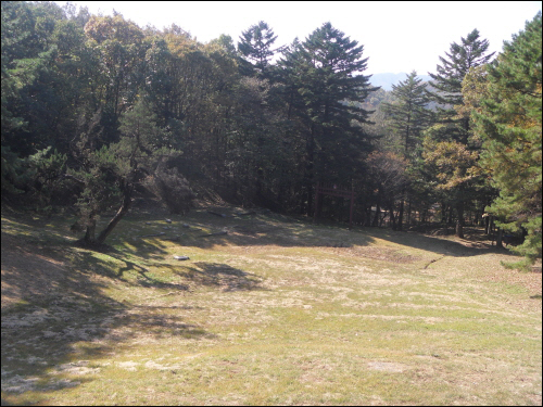 수길원. 묘와 어긋나게 홍살문이 산 쪽으로 치우쳐 있고, 정자각과 비각도 산 쪽으로 치우쳐 세운 흔적이 터로만 남아 있다. (왼쪽 숲)