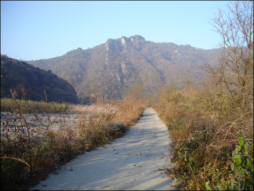 강뚝 산책길 호야와 헤리가 갈대숲을 질주하는 모습을 보면서 활력을 얻은 다음 강뚝 산책길을 걷는다. 아침 산책은 1시간 30분 정도 걸린다. 