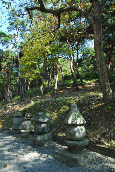 정갈한 숭림사 부도밭 이끼라는 세월의 더께를 안고서도 은빛으로 반들거리는 것은 푸른 가을 하늘과 병풍처럼 둘러싼 숲 때문이다.