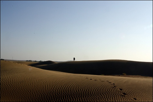 자이살메르 사막에서 낙타사파리 하던 모습니다. 