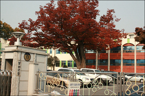 남해군에는 아름다운 나무와 숲을 지키려는 노력이 돋보입니다. 심지어 군청 마당에도 이백년은 족히 되었음직한 느티나무가 단풍을 자랑하고 있습니다. 