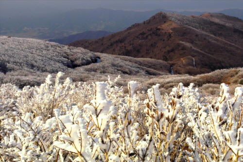  어머니의 산 지리산은 있는 그대로 보존해야 한다