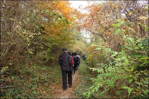 고흥군 나로도 봉래산 숲길을 걷고 있다. 