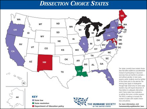  미국 10개 주에선 학생들에게 동물해부를 거부할 수 있는 권리를 주고 있다. 교사들은 학생과 학부모에게 사전에 동물해부실습이 있다는 정보를 제공해야 한다. 