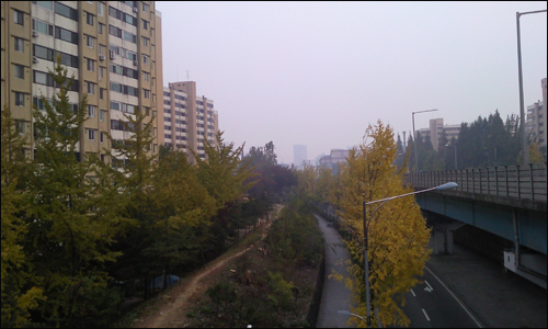  강남 동호대교에서 남쪽으로 바라본 현대아파트는 대교 좌우에 넓게 자리 잡고 있다. 