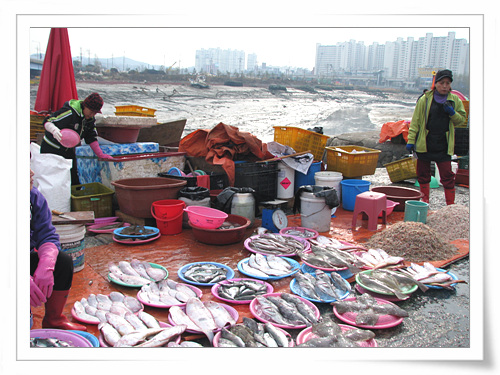 싱싱한 횟감 생선과 꽃게를 구입할 수 있는 소래어시장.