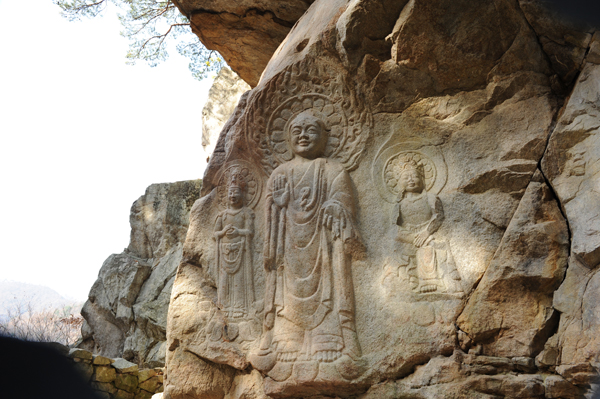 서산마애삼존불의 전경 암벽위에 소나무가 드리운 서산마애삼존불의 모습 