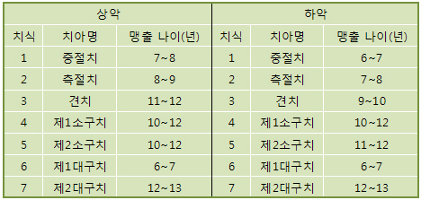 영구치가 나는 시기  개인에 따라 차이가 있지만 대략적인 영구치가 나는 시기는 다음과 같다. 만나이로 1년 이상 지났음에도 해당 치아가 나지 않고 있다면 치과를 방문해서 진단 받기 바란다.