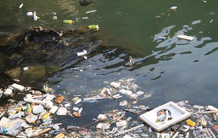 관광객이 많이 찾기 때문일까? 하롱베이도 쓰레기에 몸살을 앓기 시작한다.  