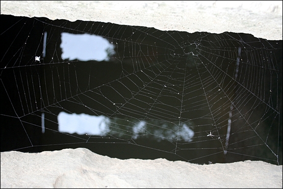 위린 홍스샤 협곡을 연결하는 돌다리 사이 공간에 얼키성킨 거미줄
