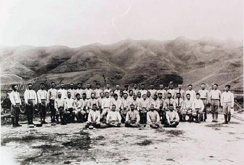 코올라우 산맥의 경사지에 있는 파인애플 농장을 배경으로 선 군단원들.
