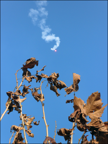 푸른 하늘을 뒤로한 마른 낙엽 위로 서바이벌 경기를 축하하는 축포가 떨어져 내리고 있다.