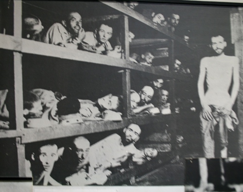 당시 수용소 모습을 볼 수 있는 자료사진이다. 강제 노동 끝에 깡마른 몸으로 생사를 넘나드는 참혹을 겪었을 당시 수용자들 모습니다.