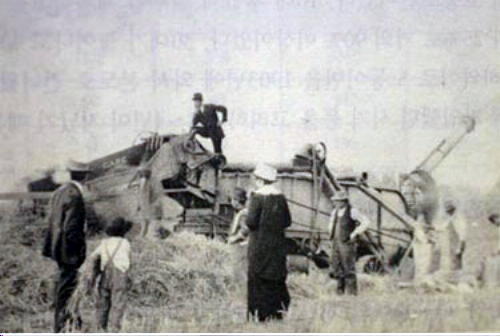 쌀을 수확해서 탈곡하는 장면(캘리포니아 1912년)