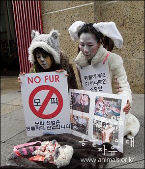 2009년 모피반대 거리캠페인에서. 모피관련 시위는 전 세계적인 이슈이다.