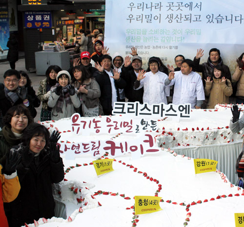 iCOOP생협이 15일 오전 서울 명동 우리은행 앞에서 유기농 우리밀로 만든 세로 7m, 가로 3m의 대형 한반도지도 케이크 시식행사를 진행하고 있다.