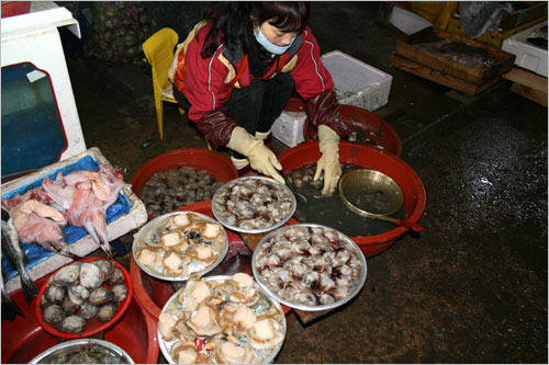  벌교수산 아주머니도 새조개를 손질하고 있다.