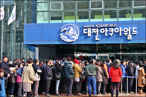 지난 1월 1일 대전 아쿠아월드 앞에 줄서서 입장을 기다리는 관람객들 