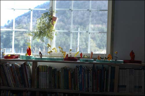 지난 늦가을 순천 평화학교 아이들이 작은 도서관에 놀러왔다가 아내와 함께 만든 꽃관을 창틀에 진열해 놓았다. 