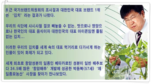  박동복 종자명장의 종묘시험장 연구모습 