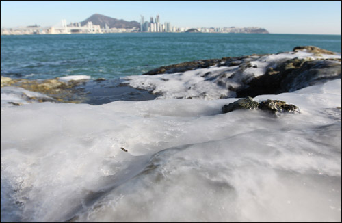 한파에 부산 바다도 얼었다. 17일 부산 남구 용호동 이기대공원 해안의 바위가 꽁꽁 얼어붙었다.